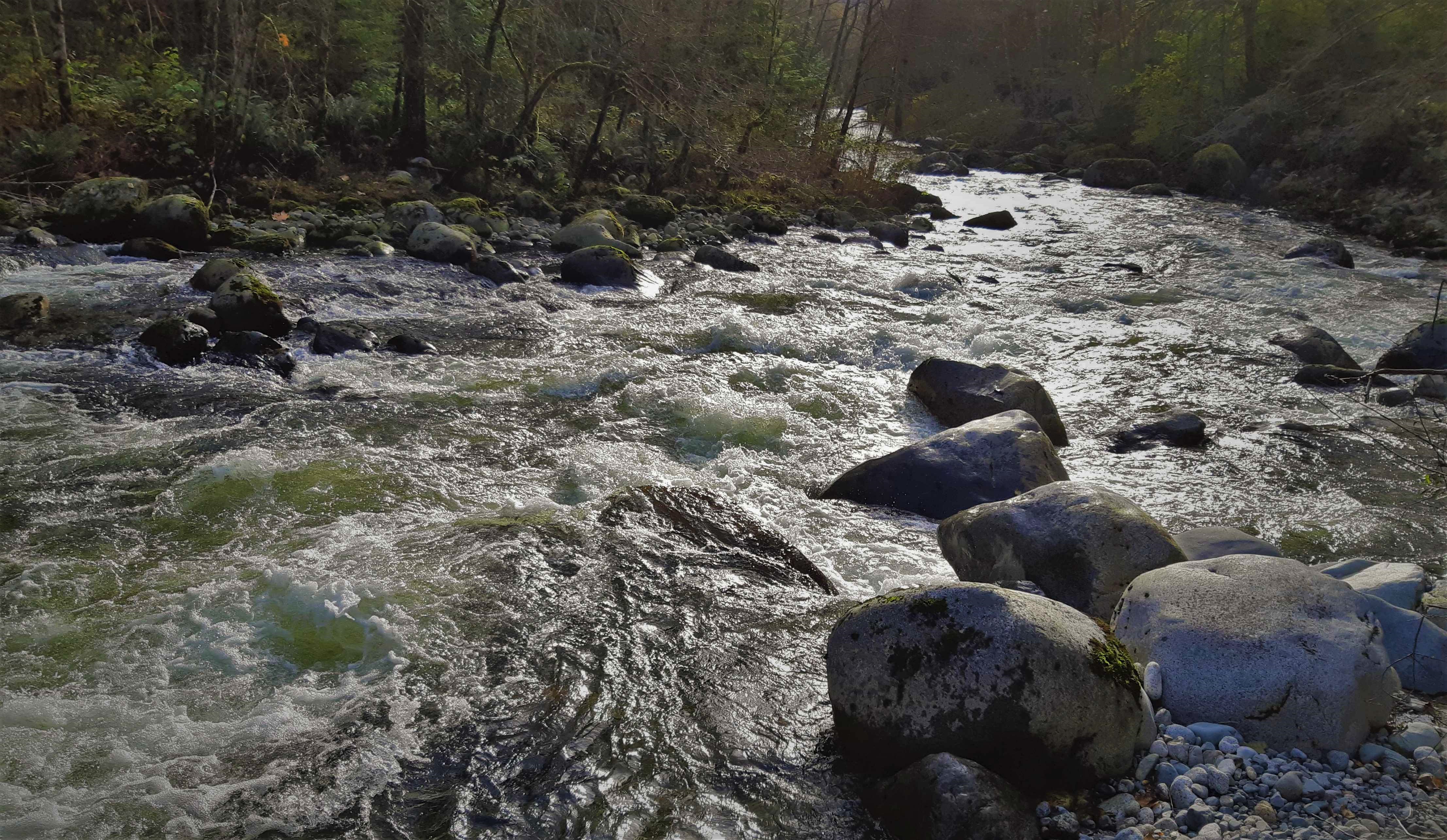 Upper Coquitlam River